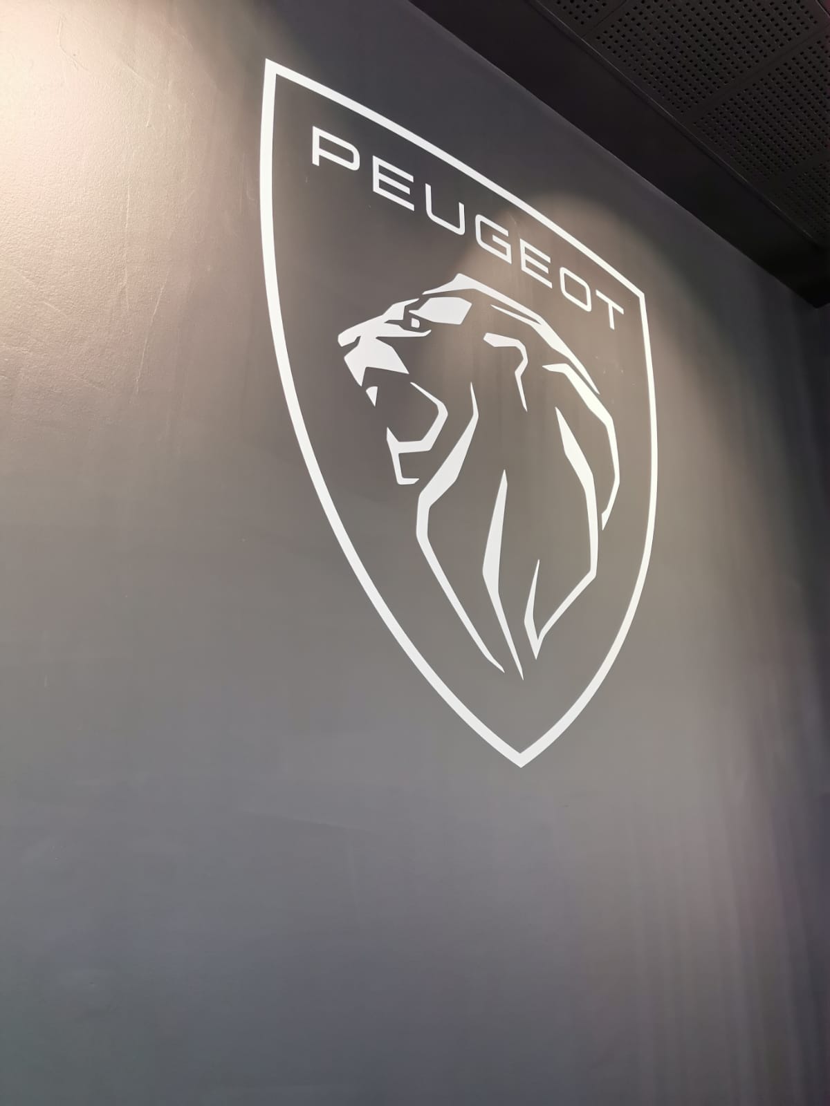 Logo Peugeot en Adhésifs Muraux Intérieur et Extérieur à Strasbourg en Alsace