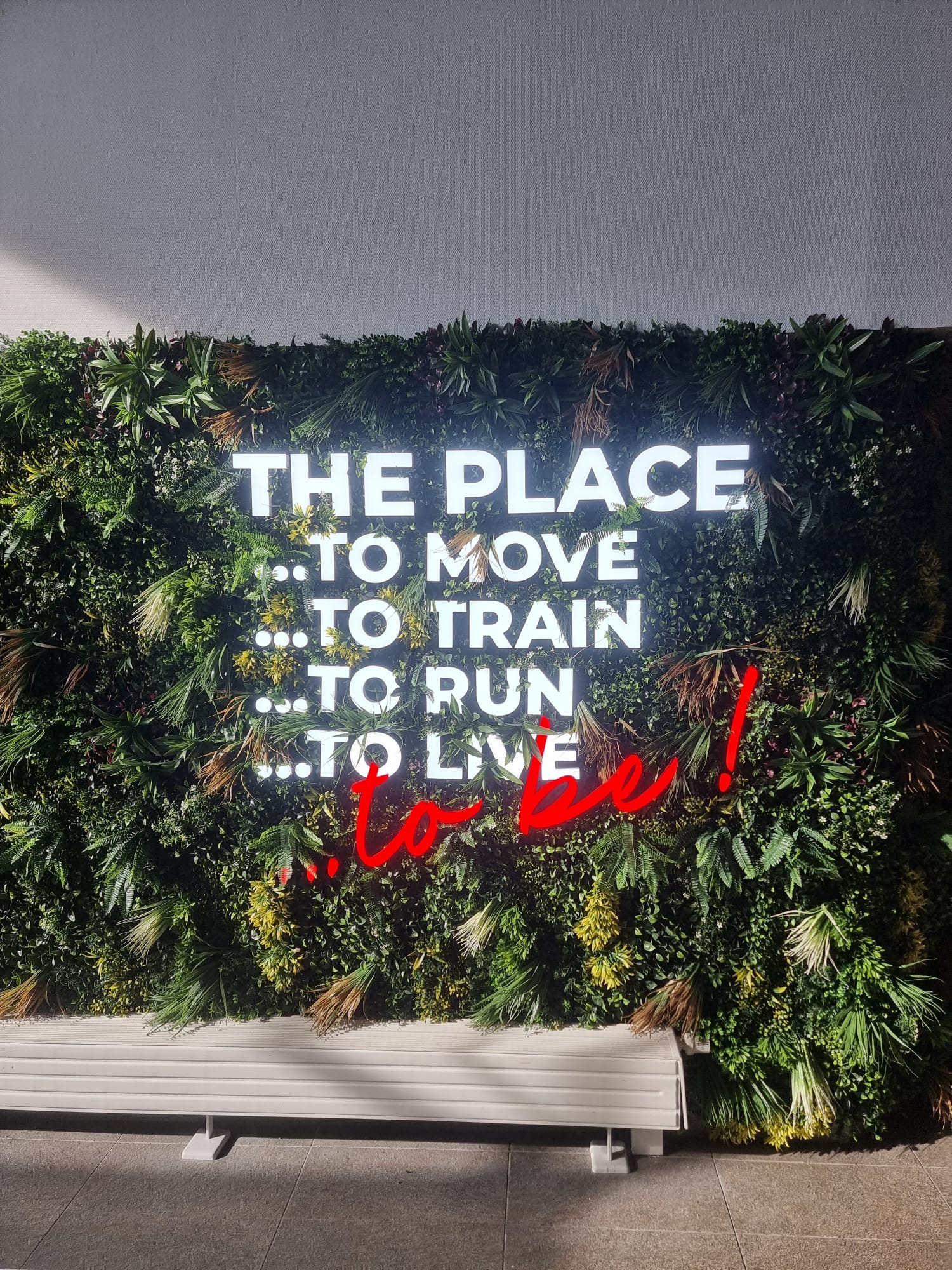 Préparation, fabrication et installation d&rsquo;enseignes en néon LED pour la salle de musculation One Fitness Est à Strasbourg, proche d&rsquo;Illkirch-Graffenstaden.